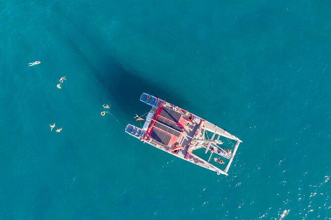 Watching and Listening Whales visiting Los Gigantes&Masca. Food&drinks included - Who should book this, and who might want a different option