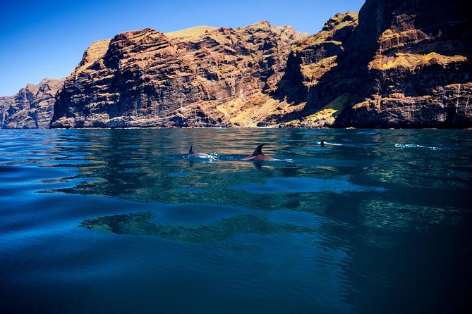 Watching and Listening Whales visiting Los Gigantes&Masca. Food&drinks included - Los Gigantes cliffs from the water: dramatic, not distant