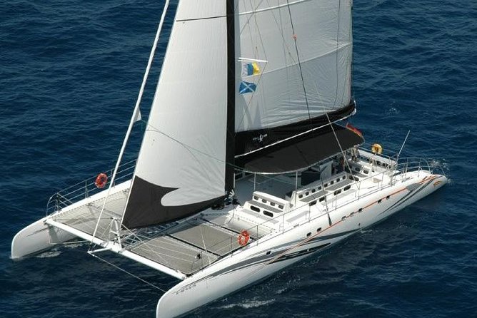 Western Tenerife Cruise with Lunch and Open Bar - Price and value: what $56.47 buys you