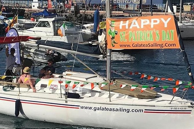 Whale and Dolphin Small Group Sailing from Tenerife South - Snorkeling included: the gear is provided, the water decides the rest