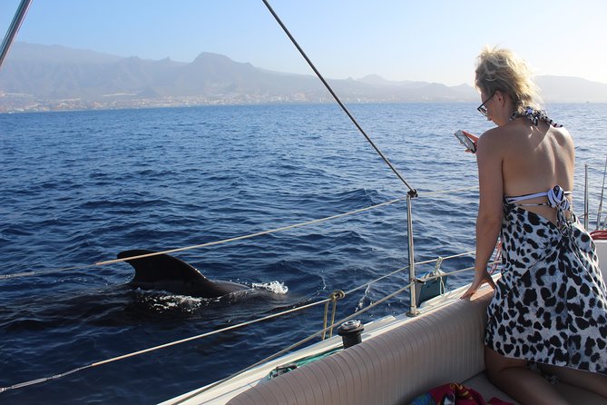 Whale and Dolphin Small Group Sailing from Tenerife South - The 3-hour game plan: pilot whales offshore, dolphins near shore