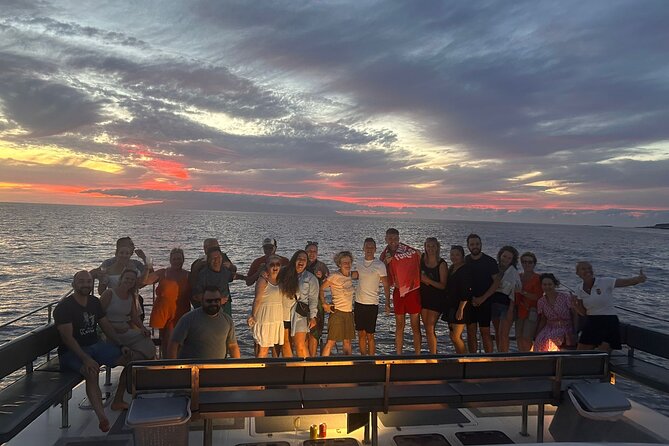 Whale and Dolphin Watching Catamaran with Transfer and Buffet - Who this tour fits best (and who should consider alternatives)