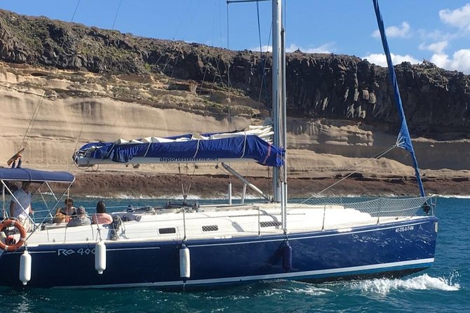 Whale and Dolphin Watching Sailing Boat with Drinks, Snacks and Swimming Time - Finding pilot whales and dolphins: what viewing time feels like