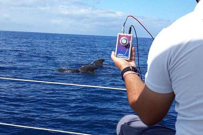 Whale and Dolphin Watching Sailing Boat with Drinks, Snacks and Swimming Time - Swimming and snorkeling time: how to make it work on the day