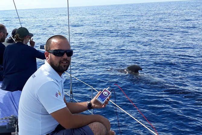 Whale and Dolphin Watching Sailing Boat with Drinks, Snacks and Swimming Time - Drinks and snacks at sea: small touches that change the mood