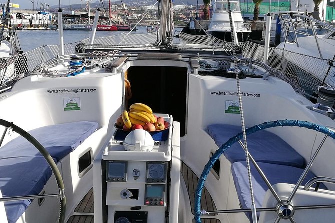 Whale and Dolphin Watching Sailing Boat with Drinks, Snacks and Swimming Time - Comfort on a luxury sailing boat: why the small group matters