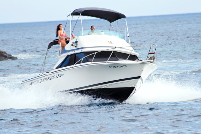 Whale and dolphin watching tour Los Gigantes and Masca in small groups - Key highlights at a glance