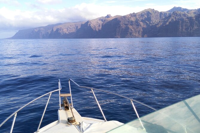 Whale and dolphin watching tour Los Gigantes and Masca in small groups - Los Gigantes from the ocean: cliff views built for photos