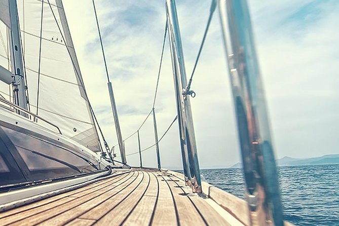 Whale and Dolphin Watching Yacht Trip in Puerto Colon - Weather and Comfort: When It’s Choppy, What Helps
