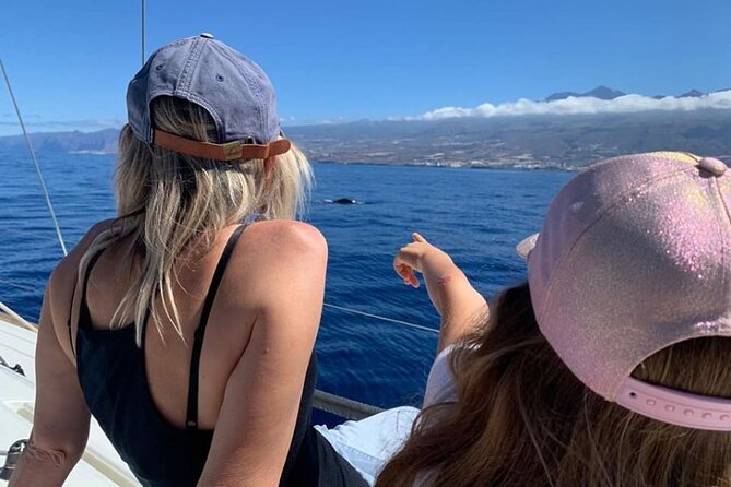 Whale and Dolphin Watching Yacht Trip in Puerto Colon - Captains, Commentary, and Seeing More Than You Think