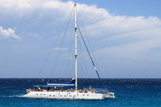 Whale & Dolphin Watching in Tenerife (Puerto Colon) On a Large Catamaran - Key Points You’ll Care About