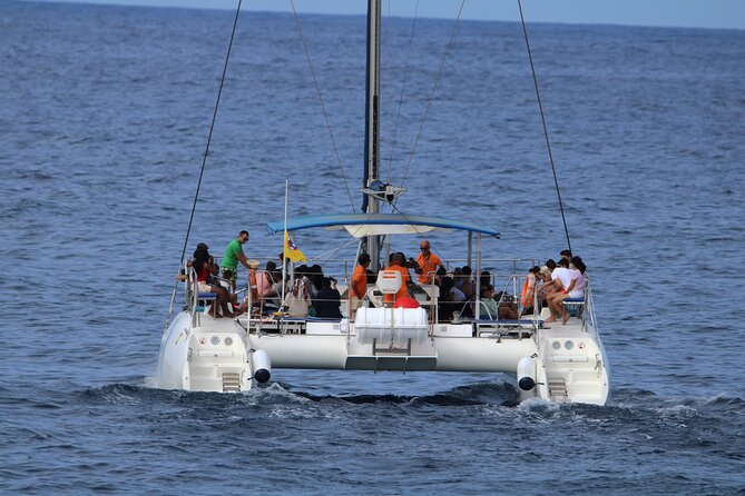 Whale & Dolphin Watching With Mustcat Virgin Coast Trip On a Large Catamaran - Leaving Las Galletas: the “time on the water” part