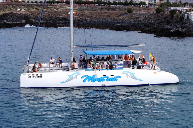 Whale & Dolphin Watching With Mustcat Virgin Coast Trip On a Large Catamaran - Crew and boat atmosphere: the small details that shape the day