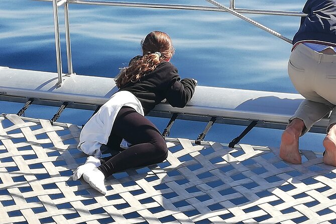 Whale & Dolphin Watching With Mustcat Virgin Coast Trip On a Large Catamaran - Price and value: is $58.17 a good deal?