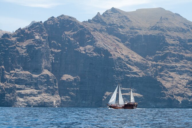 Whale Safari to Los Gigantes with pickup from North - Setting out from Tenerife’s north: what the 12:00 start really means