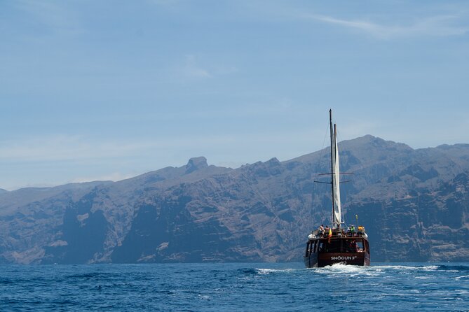 Whale Safari to Los Gigantes with pickup from North - Playa del Duque and the southwest coast ride back