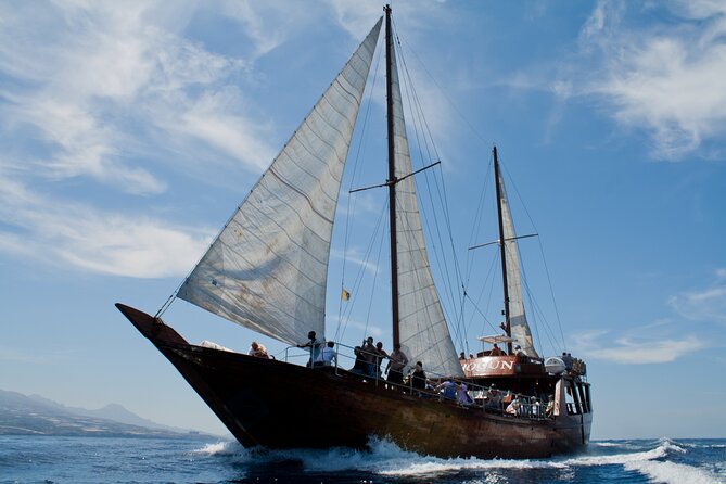 Whale Safari to Los Gigantes with pickup from North - How long you’ll actually be on cetacean time