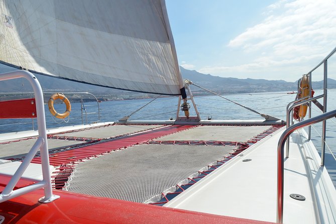Whale Watching and Listening Eco Catamaran Tour with Food Tasting - Key highlights worth your attention