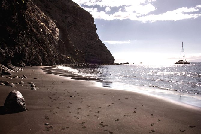 Whale Watching and Listening Eco Catamaran Tour with Food Tasting - Leaving Costa Adeje: getting to White Tenerife on time