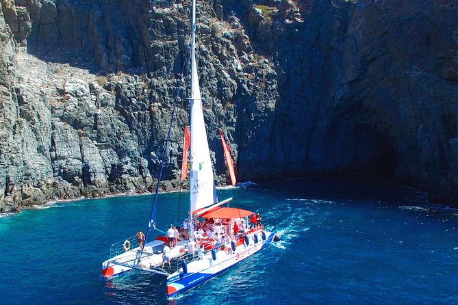 Whale Watching and Listening Eco Catamaran Tour with Food Tasting - Comfort and movement: what to expect when the sea has moods