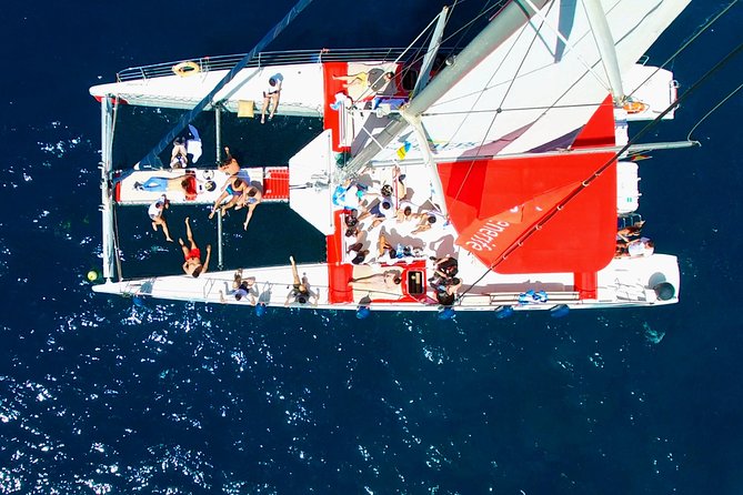 Whale Watching and Listening Eco Catamaran Tour with Food Tasting - Seat strategy: how to get the best deck time
