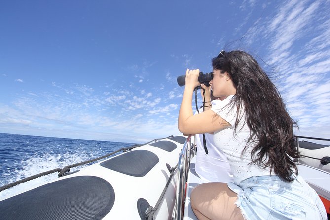 Whale Watching and Marine Science Tour - What wildlife you might spot off Las Galletas