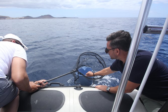 Whale Watching and Marine Science Tour - Price and value: is $90.70 worth it?