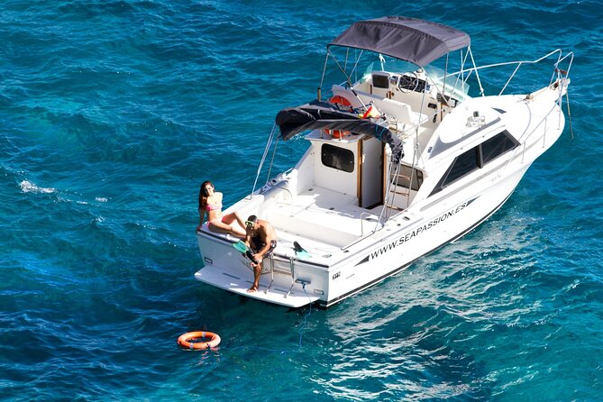 Whale watching and snorkelling in the whale sanctuary - Captain talk: volcanology, meteorology, and real cetacean science