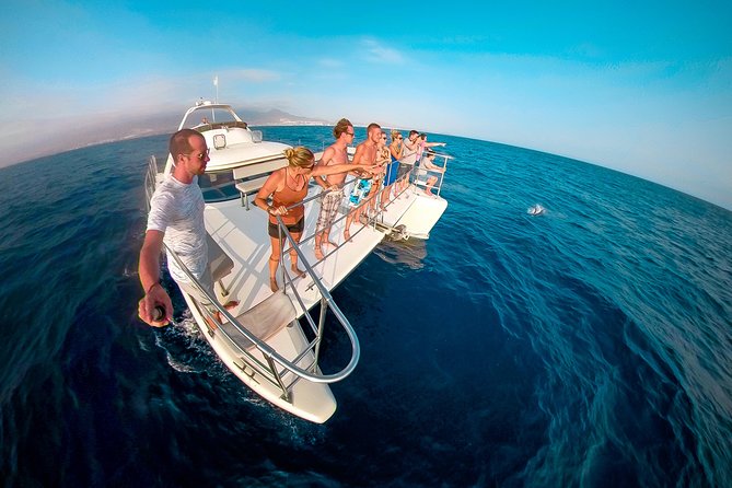 Whale Watching Catamaran Cruise with Transfer, Buffet by MC - Whale Watching and Transfers: A Simple Half-Day Plan That Feels Like a Real Escape