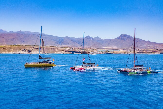 Whale Watching Catamaran in Costa Adeje (Including drinks & Sandwich) - What you can realistically spot: dolphins, pilot whales, and turtles