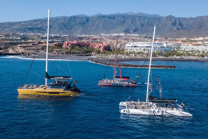 Whale Watching Catamaran in Costa Adeje (Including drinks & Sandwich) - Living with a loudspeaker and 160 people on deck