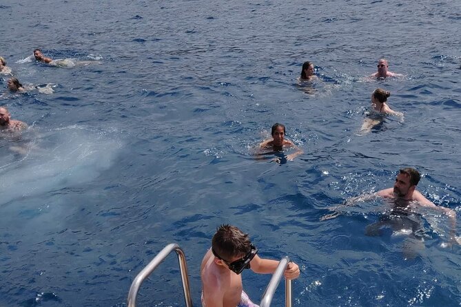 Whale Watching Catamaran in Costa Adeje (Including drinks & Sandwich) - Seasickness support and comfort on a moving boat