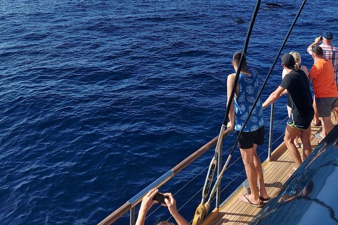 Whale Watching Catamaran to Los Gigantes & Masca (Including drinks & warm lunch) - Drinks and warm lunch: real value, with a couple caveats