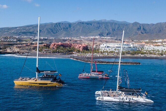 Whale Watching Catamaran to Los Gigantes & Masca (Including drinks & warm lunch) - Sunbeds on the front deck: worth it only if you plan
