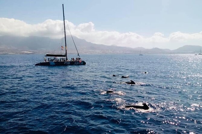 Whale Watching Catamaran to Los Gigantes & Masca (Including drinks & warm lunch) - Getting comfortable on a large catamaran