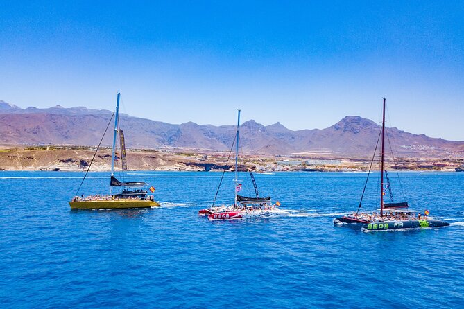Whale Watching Catamaran to Los Gigantes & Masca (Including drinks & warm lunch) - Meeting point, pickup rules, and how not to miss the boat