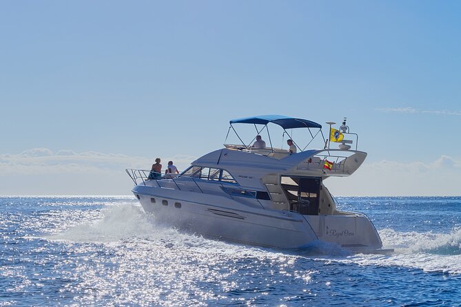 Whales and Dolphins excursion on a Luxury Yacht in Canary Islands - Key Points If You’re Short on Time