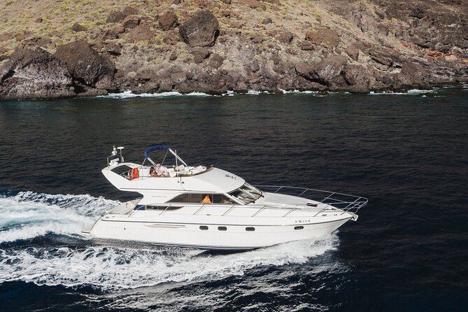 Whales and Dolphins excursion on a Luxury Yacht in Canary Islands - Las Galletas Meeting Point and the Mercedes Vito Pickup