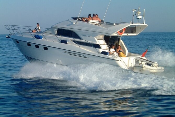 Whales and Dolphins excursion on a Luxury Yacht in Canary Islands - Wildlife Time: Searching for Whales and Dolphins Near Los Cristianos