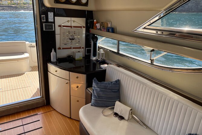 Whales and Dolphins excursion on a Luxury Yacht in Canary Islands - What the 3-Hour Plan Feels Like on the Water