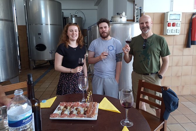 Wine, Canarian Tapas, Culture, VIP Private tour - photos included - A VIP private day across Tenerife, from Vilaflor to Candelaria