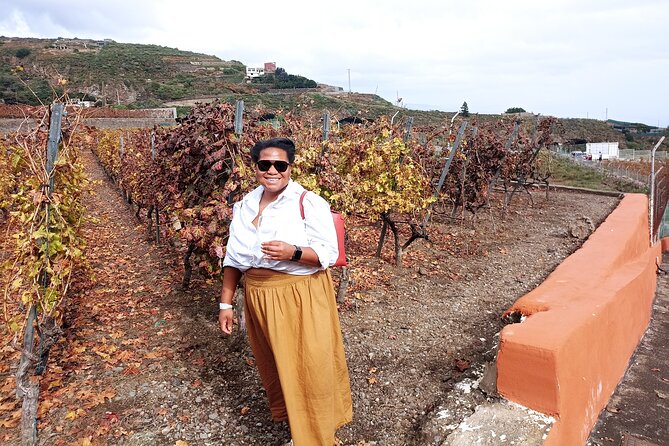 Wine, Canarian Tapas, Culture, VIP Private tour - photos included - Stop 2: El Pino Gordo, Tenerife’s ancient Fat Pine