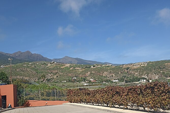 Wine, Canarian Tapas, Culture, VIP Private tour - photos included - Stop 3: Vilaflor town at 1,400 meters