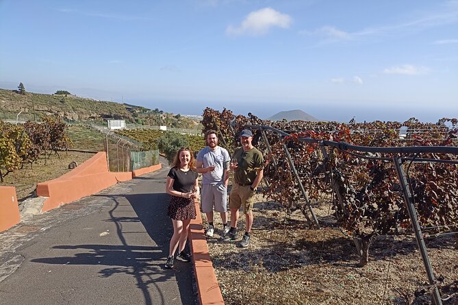 Wine, Canarian Tapas, Culture, VIP Private tour - photos included - Stop 4: Playa de El Roque and its black-sand, cave-house charm