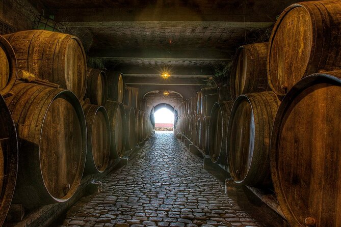 Winery Tour and Tasting in Tenerife with the Sommelier - Should You Book This Tenerife Sommelier Tasting?