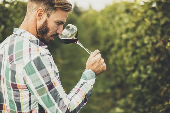 Winery Tour and Tasting in Tenerife with the Sommelier - Vineyard Walk and Cellar Visit: What You Look At Changes What You Taste
