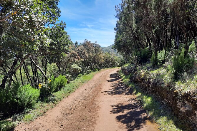 Wonderful hike through the Magic Forest of Tenerife - What to pack: the Tenerife forest kit that actually helps